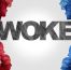 The term ‘woke right’ is less offensive than its ideas