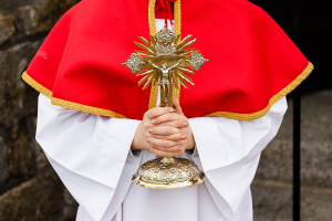 Democrat says Catholic Church must change confessional policy to conform to new abuse law