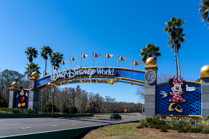 Can't afford a theme park vacation for your kids?