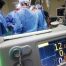 Judge orders Trump admin. restore health articles that promote gender ideology